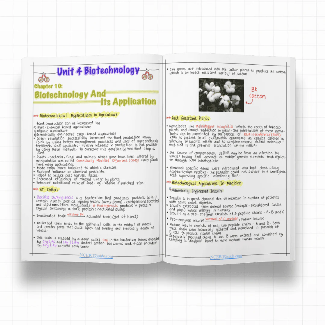 Class 12 Biology Short Notes 2026-27 - Image 4