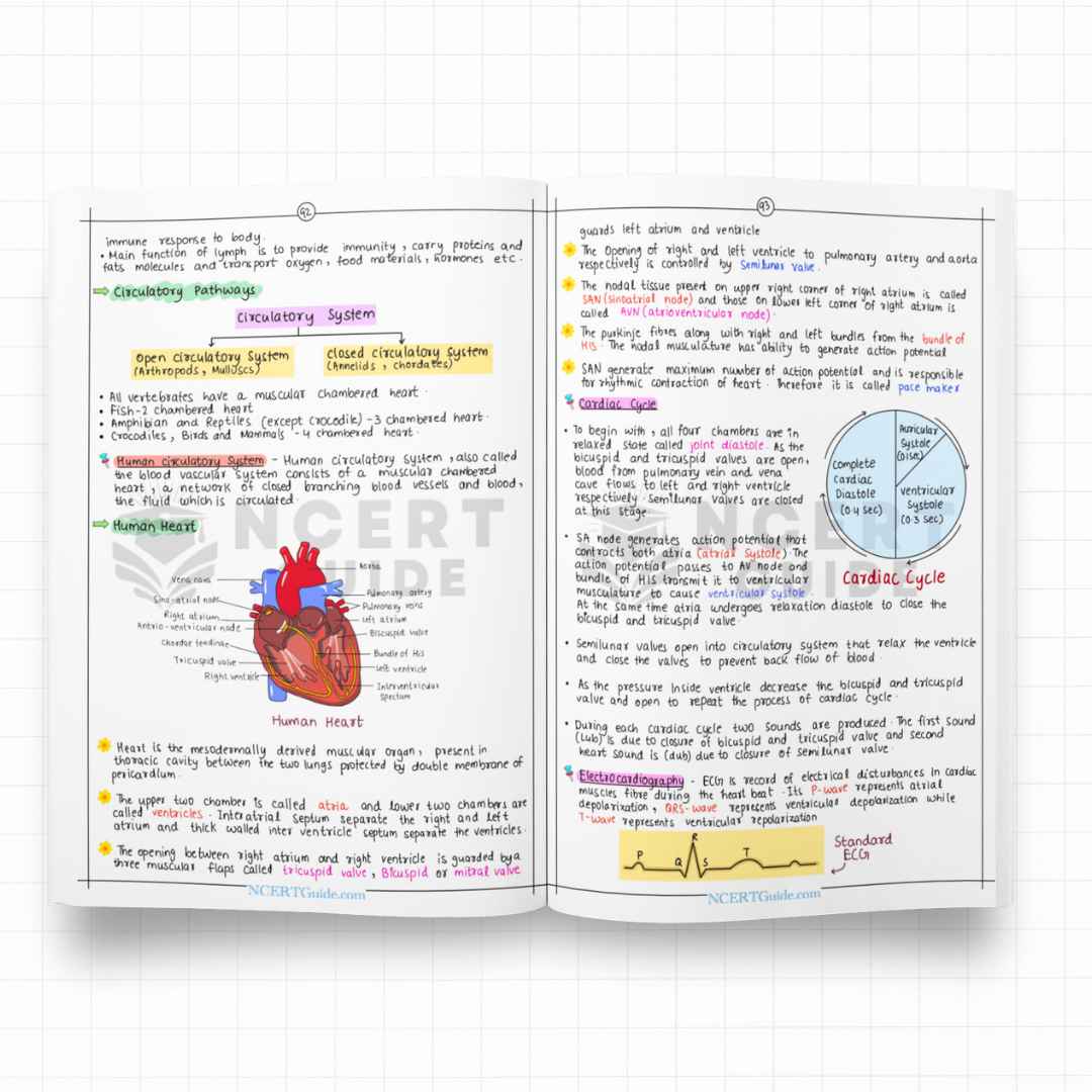 NEET Biology Short Notes | New Edition - Image 3