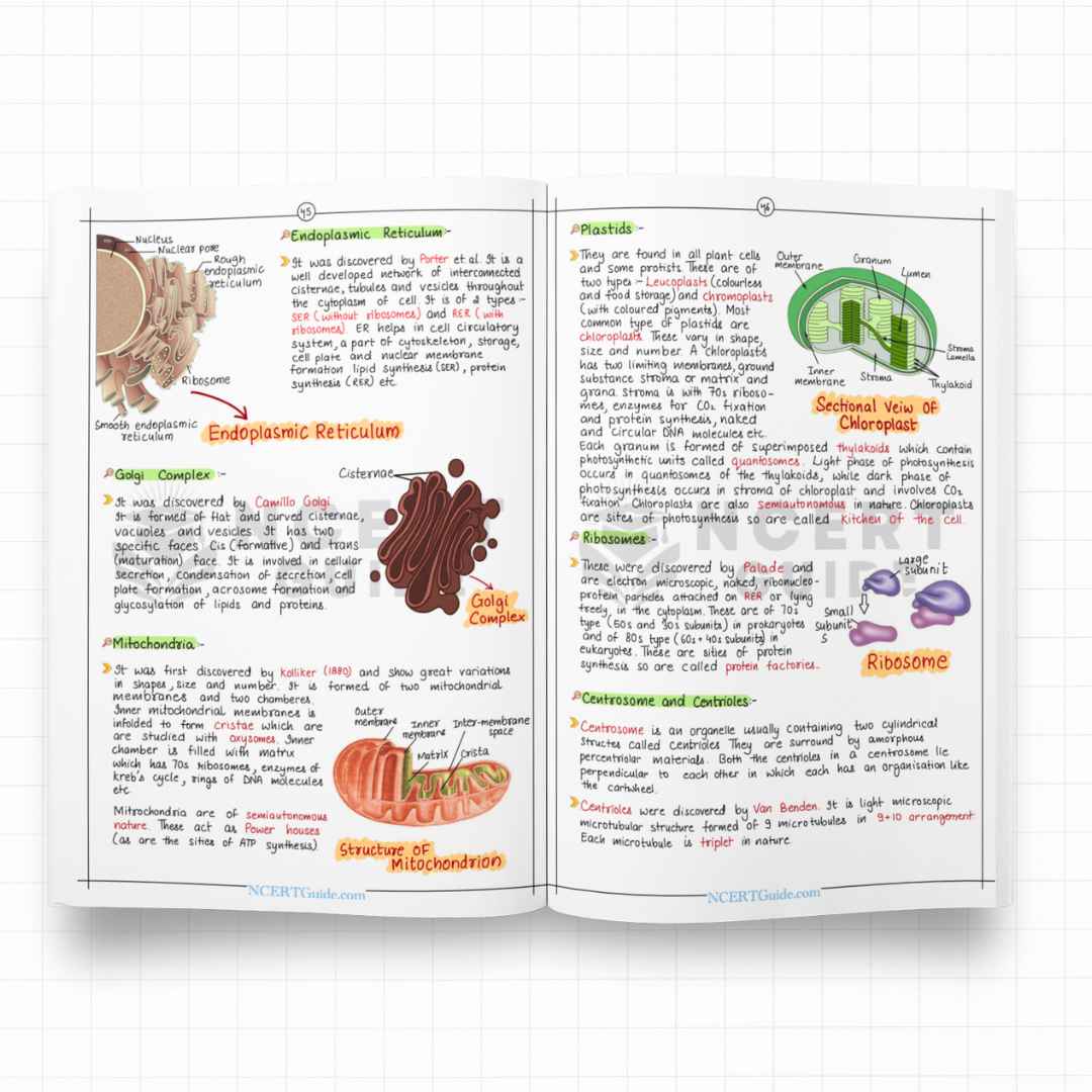 NEET Biology Short Notes | New Edition - Image 4