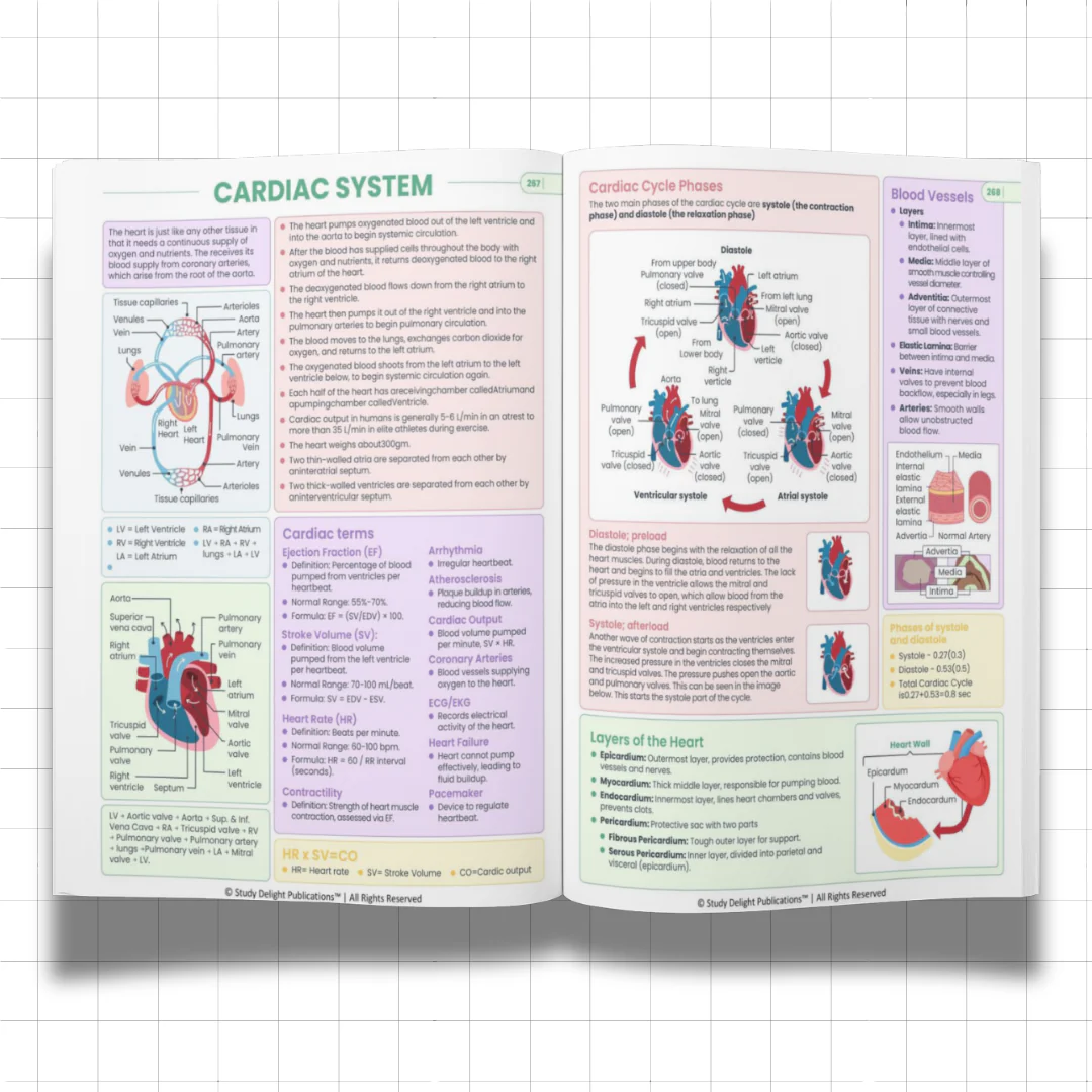 Nursing Mastery- All-in-One Visual Guide for Nursing Success - Image 11
