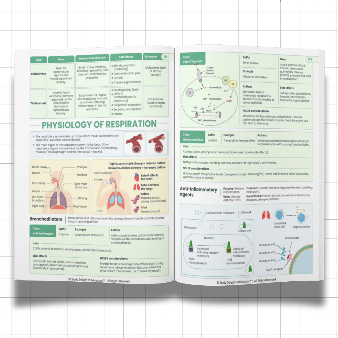 Nursing Mastery- All-in-One Visual Guide for Nursing Success - Image 8